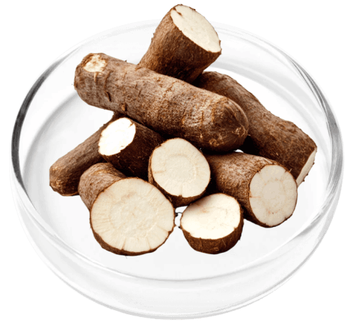 Digestistart-ingredients-Wild Yam