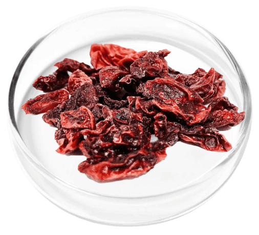 Digestistart-ingredient10