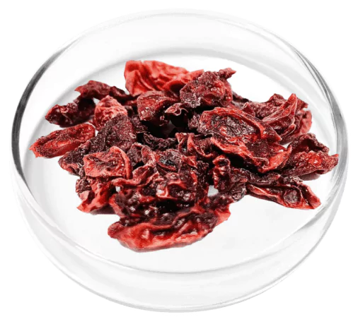 Digestistart-ingredients-Shan Zhu Yu