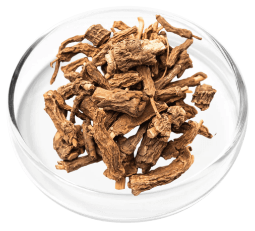 Digestistart-ingredients-Rehmanniae Radix