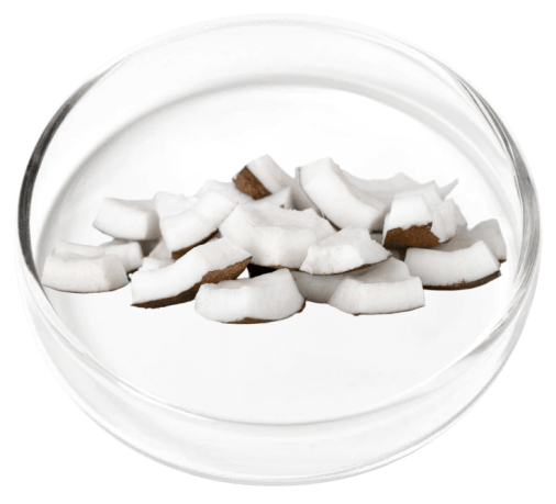 Digestistart-ingredients-Poria Cocos