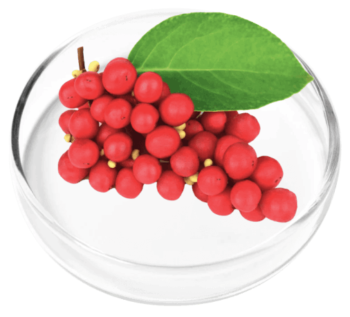 Digestistart-ingredients-Schisandra