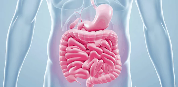 DigestiStart work 